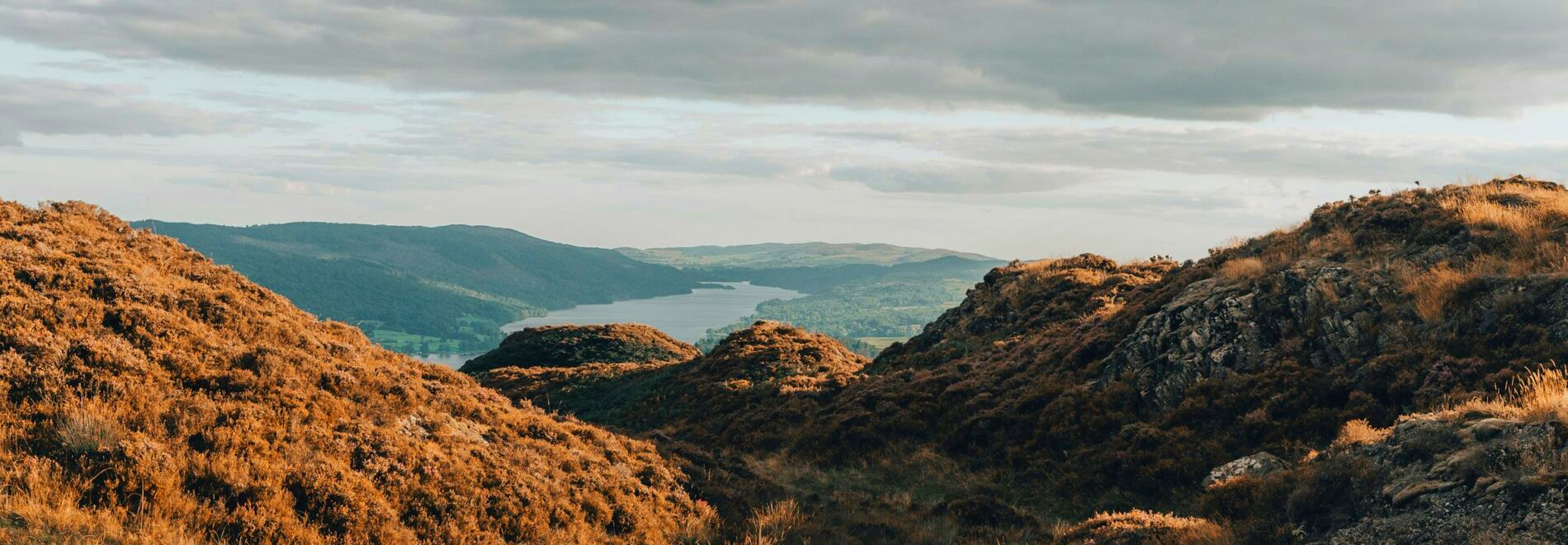 lake district close yellow grass hills, far river, mountains